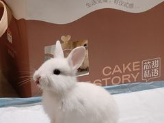 -大象厨房(重庆道店)