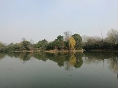 -桃花岛景观公园