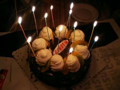 -丽莎蓓甜CAKE生日蛋糕·动物奶油(石家庄店)