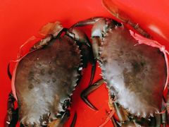 -阿弟特色海鲜餐厅·大排档(平潭店)