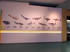 -上海中国航海博物馆