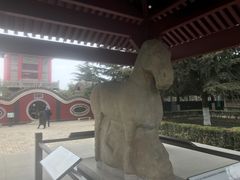 -茂陵博物馆