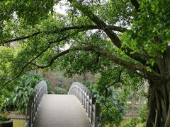 -四海公园(南山区)