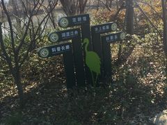 -长兴太湖图影湿地文化园