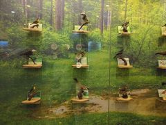 -下渚湖国家湿地公园科普馆