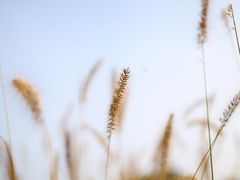 -白鹭湾湿地公园