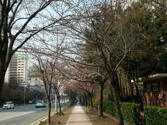 -海云台海滩