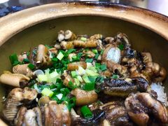 -红星光发煲仔饭(文海店)