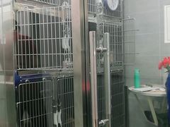 -宠福鑫康馨动物医院·骨科·眼科