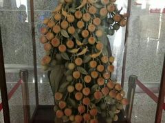 -中国药科大学（江宁校区）-图书馆