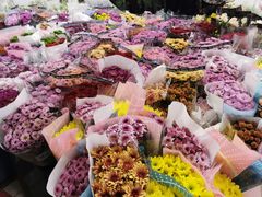 -金陵花卉交易市场