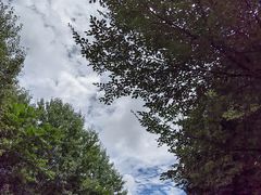 -玉渡山自然风景区