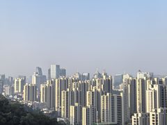 -金鸡山公园
