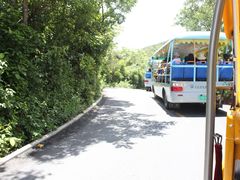 -三亚亚龙湾人间天堂鸟巢度假村