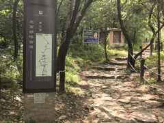 -阳台山自然风景区