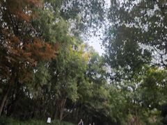 -南京市江宁方山