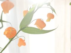-双季花艺园艺市场(浦东店)