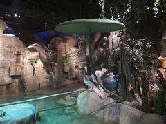 -zoonana室内动物园(东方福来德店)