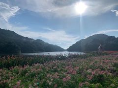 -广州市石门国家森林公园