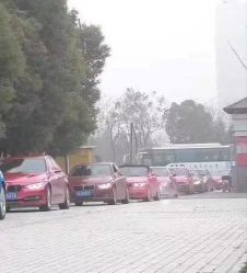 -蚂蚁婚车