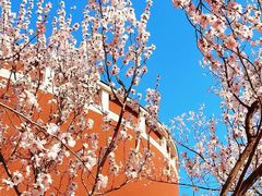 -东北师范大学(净月大街校区)