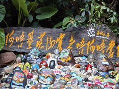 -西双版纳基诺山寨