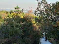 -北京西山国家森林公园