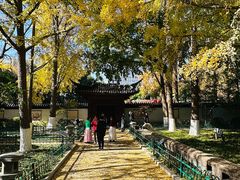 -郑和公园