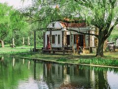 -上海共青森林公园