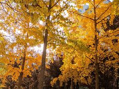 -北京丽景湾国际酒店