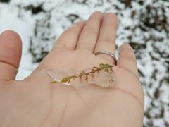 -硗碛藏寨·神木垒景区