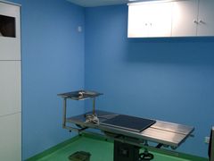 -爱贝特动物医院·猫口炎专科