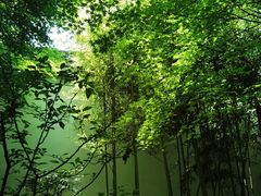 -秋霞圃