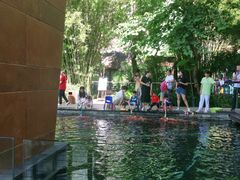 -三亚湾海居铂尔曼度假酒店