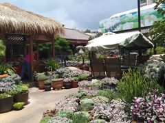 -山菌美食苑(振兴路店)