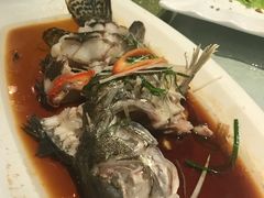 -鼎记酒楼(雁南一路店)