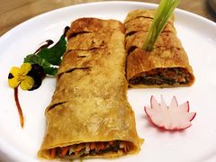 天素烧鹅-安多素食(广仁寺路店)