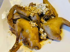 -百利鸽王(紫薇路店)