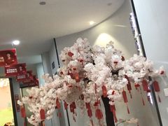 -牙博士口腔品牌连锁(杨浦店)