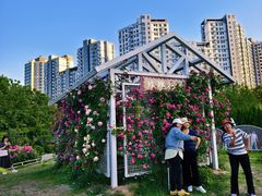 -太阳宫公园