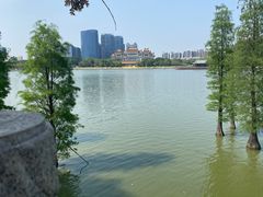 -顺峰山公园