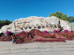 -北京西山国家森林公园