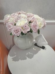 -YESIDO椰岛美容
