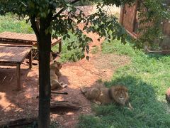 -昆明动物园
