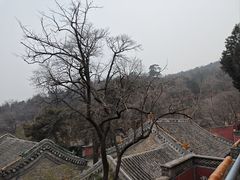 -潭柘寺景区