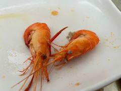 -大象营野Life营地·钓虾(坦尾店)