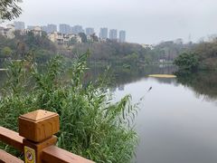 -重庆彩云湖湿地公园