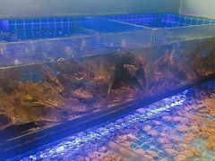 -透明思烤·自助烤肉海鲜火锅(东部星悦天地店)