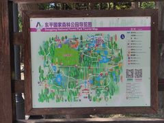 -东平国家森林公园