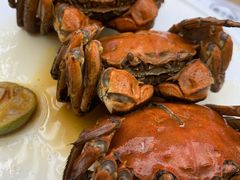 满浸熟醉六月黄蟹-苏小柳点心·手作小笼包(浦东嘉里城分院)